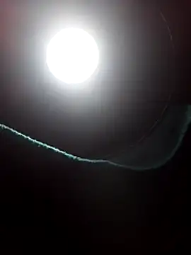 Snapshot of dangerman94 chatting on March 22, 2026, 6:15 am dangerman94 online show from March 22, 2026, 6:15 am