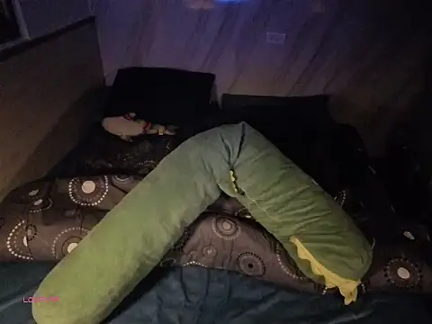 bbhiShark online show from October 23, 2025, 1:21 pm