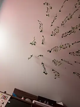 -Sexy Barbie- online show from February 26, 2025, 3:46 am