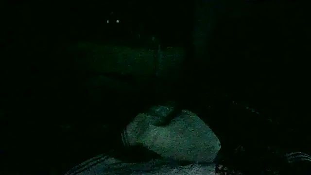 Snapshot of DI4MOND_FIR3 chatting on November 18, 2025, 10:51 am DI4MOND FIR3 online show from November 18, 2025, 10:51 am