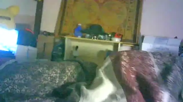 DI4MOND FIR3 online show from February 3, 2026, 6:22 am