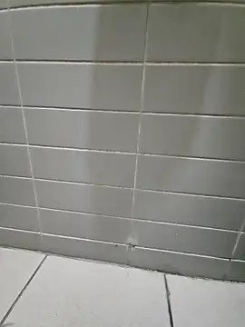 Snapshot of Moonbadboyss chatting on October 8, 2025, 2:29 pm Moonbadboyss online show from October 8, 2025, 2:29 pm