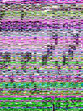 SandraCarter online show from June 7, 2026, 7:13 am