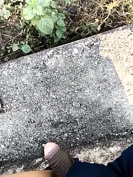 royalrohan3245 online show from November 21, 2025, 4:00 am