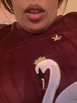 Samarr 9and online show from December 20, 2024, 11:10 am