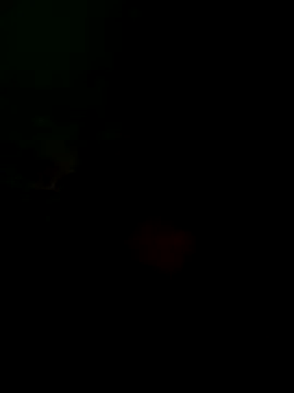 Snapshot of taylorWiiz chatting on October 16, 2025, 5:32 pm taylorWiiz online show from October 16, 2025, 5:32 pm