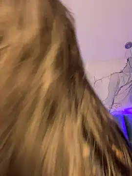 kiim taaylor online show from November 12, 2025, 11:03 am