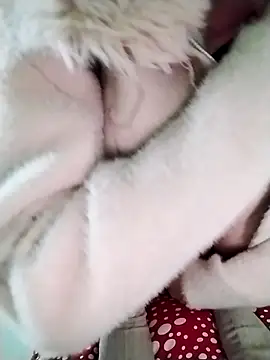 Anna-Cute69 online show from January 7, 2026, 1:54 am