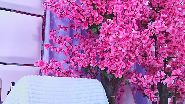 AlliciaKim online show from April 28, 2026, 12:31 pm