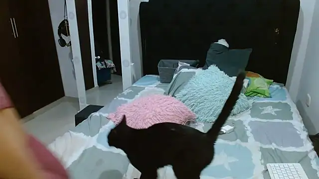 amazonafit  online show from February 27, 2025, 4:13 am