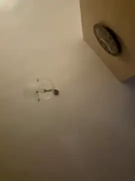 Xxxmeskadziwkaxxx88 online show from March 21, 2026, 12:45 am