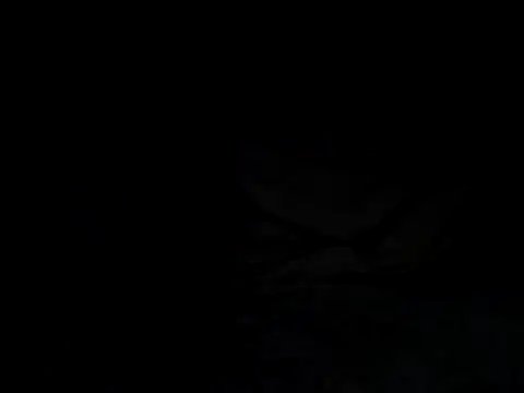 Snapshot of tonkisa chatting on July 8, 2026, 9:48 pm tonkisa online show from July 8, 2026, 9:48 pm