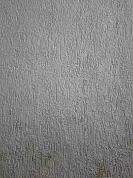 Priya Strip online show from May 3, 2026, 11:47 am