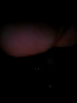 chubbybear322 online show from December 19, 2025, 10:56 pm