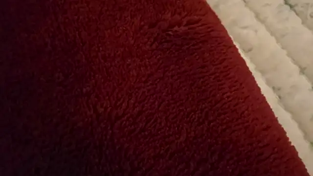 ChillzPnp online show from February 5, 2026, 3:13 am