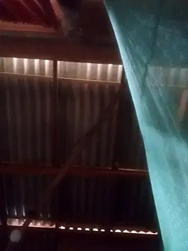 walkollanew99 online show from March 25, 2026, 2:12 am