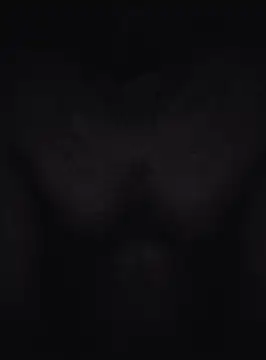 Keshuloveyou online show from December 20, 2024, 7:44 am