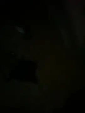 hardbigcock16 online show from April 3, 2026, 6:14 pm