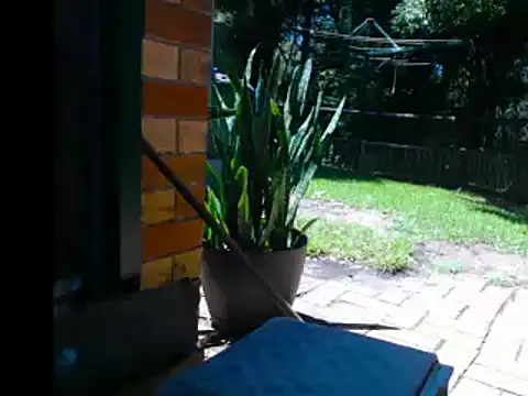 InfamousBabyy  online show from December 12, 2024, 12:27 am