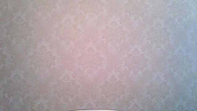 Snapshot of Kashtanka_ chatting on November 19, 2025, 10:04 am Kashtanka online show from November 19, 2025, 10:04 am