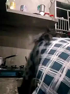 VyingAviary online show from March 22, 2025, 5:06 am