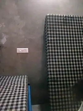 VyingAviary online show from February 21, 2025, 5:09 pm