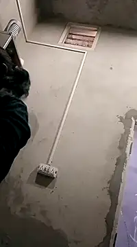 VyingAviary online show from December 10, 2024, 3:30 am