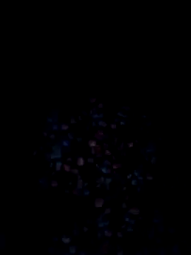 VyingAviary online show from December 20, 2024, 12:38 pm