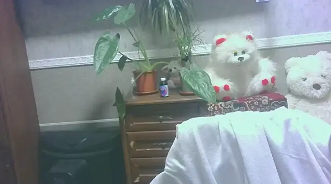 Snapshot of Manulyonok51 chatting on December 5, 2024, 9:55 pm Manulyonok51 online show from December 5, 2024, 9:55 pm
