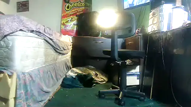 HBYAM online show from February 23, 2026, 11:44 am