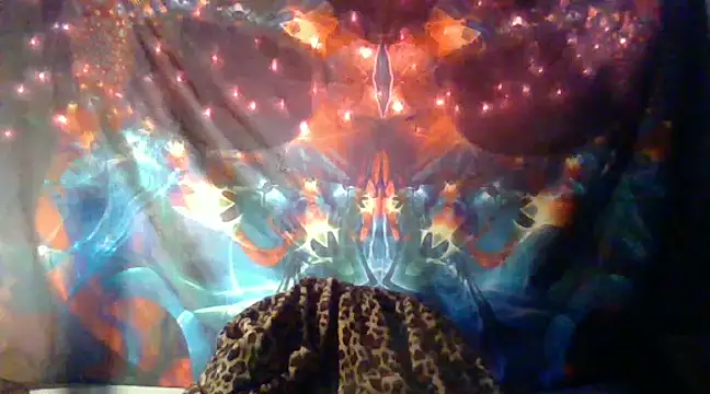Snapshot of fantasymade69 chatting on January 1, 2025, 8:13 am fantasymade69 online show from January 1, 2025, 8:13 am