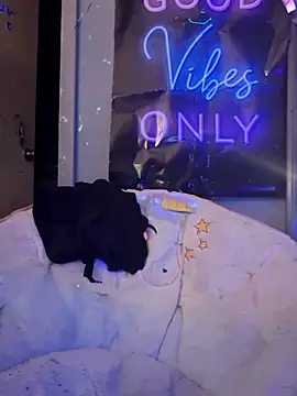 Snapshot of fantasymade69 chatting on November 8, 2025, 6:50 am fantasymade69 online show from November 8, 2025, 6:50 am