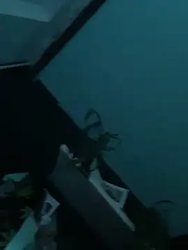 big cock is back online show from December 29, 2024, 1:56 am