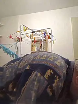 Snapshot of Bretoncool chatting on November 15, 2025, 1:26 pm Bretoncool online show from November 15, 2025, 1:26 pm