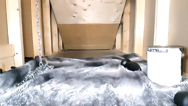 Snapshot of cbtbetaloser chatting on February 16, 2026, 5:17 am cbtbetaloser online show from February 16, 2026, 5:17 am