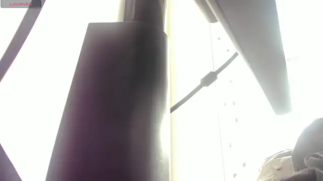 soyzarahtorres online show from February 4, 2026, 9:54 pm