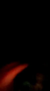 doggiepossession online show from March 7, 2025, 2:45 pm