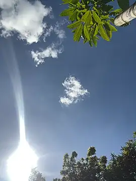 VioletaSubmissive online show from March 19, 2026, 8:31 pm