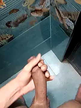 Snapshot of Mr_joh chatting on February 21, 2026, 5:53 am Mr joh online show from February 21, 2026, 5:53 am