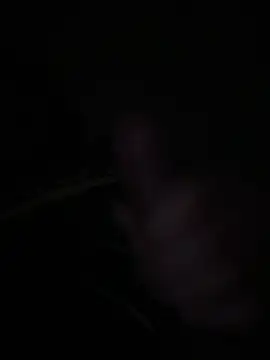 wolfwhite95 online show from September 22, 2025, 1:44 am