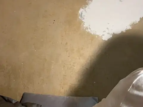 Snapshot of saint_cat25 chatting on February 18, 2026, 9:22 pm saint cat25 online show from February 18, 2026, 9:22 pm