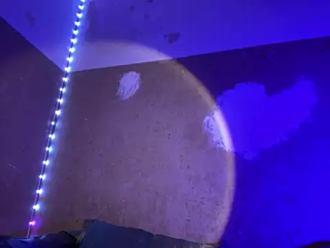 Snapshot of saint_cat25 chatting on March 27, 2026, 10:43 pm saint cat25 online show from March 27, 2026, 10:43 pm