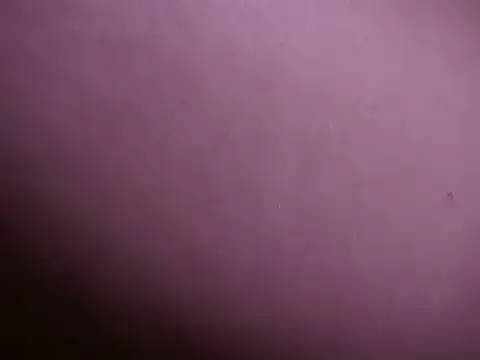 Snapshot of AliceShazaham_ chatting on January 5, 2025, 9:48 am AliceShazaham online show from January 5, 2025, 9:48 am