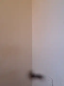 Snapshot of BriannaVincent chatting on December 1, 2025, 4:02 am BriannaVincent online show from December 1, 2025, 4:02 am