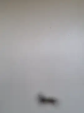 BriannaVincent online show from January 7, 2026, 5:01 am