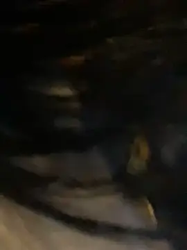 sophie conor online show from January 29, 2025, 10:32 pm