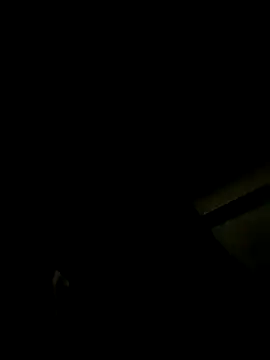 sophie conor online show from December 4, 2024, 4:37 am