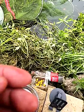 Snapshot of huzi518 chatting on October 25, 2025, 3:38 am huzi518 online show from October 25, 2025, 3:38 am