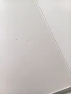 bbferlinaa online show from March 21, 2026, 7:51 pm