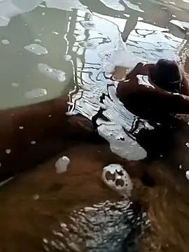 Snapshot of mysterious_guy_kakashi1 chatting on February 22, 2026, 9:44 am mysterious guy kakashi1 online show from February 22, 2026, 9:44 am